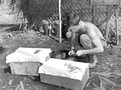Leyte Campaign - 1944